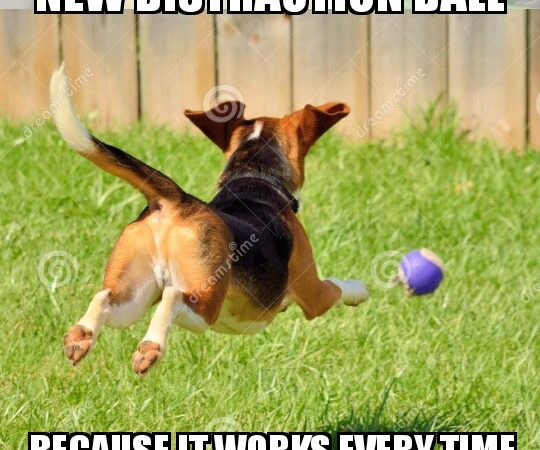Mueller Report Release Distraction