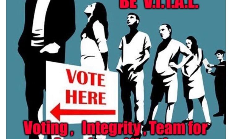 ELECTION DAY: LEFTY THUGS AT VOTING POLLING PLACES